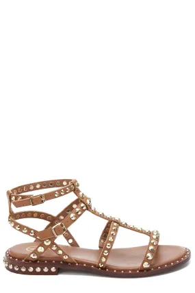 Ash Precious Buckle Fastened Sandals