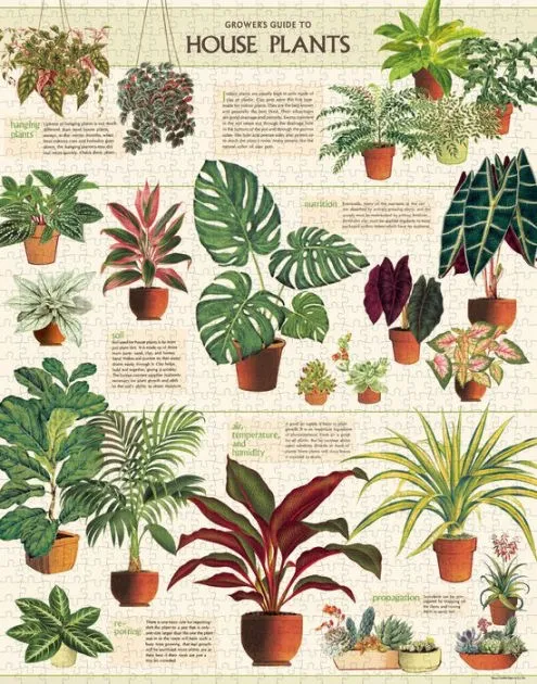 House Plants 1,000 Piece Puzzle